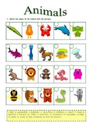 English Worksheet: Animals (26.08.09)