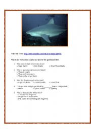 English Worksheet: Bull Sharks Video and Listening Comprehension