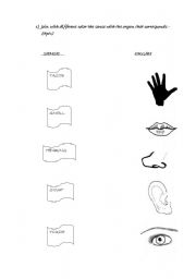 English Worksheet: the five senses