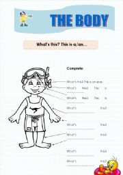 English Worksheet: The body