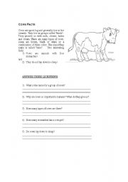 English Worksheet: Cow Facts