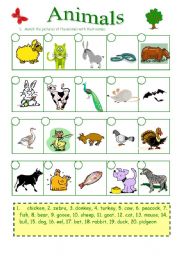 English Worksheet: Animals (27.08.09)