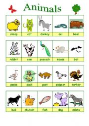 English Worksheet: Animals 2/2 (27.08.09)