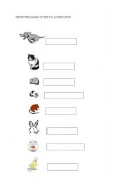 English Worksheet: PETS