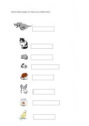 English worksheet: PETS