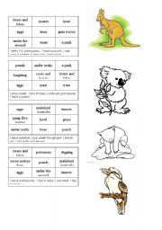 English Worksheet: Australian Animal Bingo