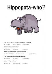 English Worksheet: Zoo - Hippo worksheet