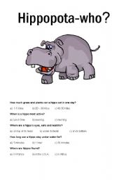 English worksheet: Zoo - Hippo worksheet