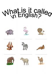 English Worksheet: Zoo - Whats it called?
