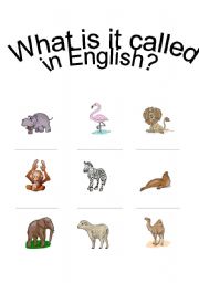 English worksheet: Zoo - Whats it called?