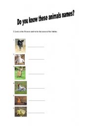 English worksheet: Do you know these animals names?