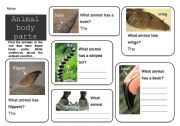 English Worksheet: Animal Body Parts