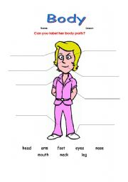 English worksheet: body