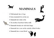 English Worksheet: Animals: Mammals, Reptiles, Amphibians, Fish, Birds