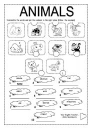 English Worksheet: Unscramble the words (animals)