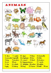 English Worksheet: wildlife animals