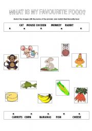 English worksheet: animals- favourite food 1