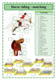 English Worksheet: Horse riding - matching exercise