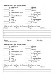 English Worksheet: Common Nouns and Proper Nouns