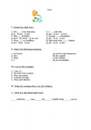 English worksheet: Test for beginners