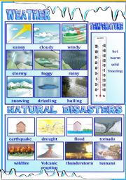 English Worksheet: Weather / Natural Disasters