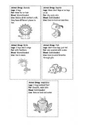 English worksheet: Animal Groups