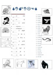 English worksheet: similes