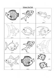 English Worksheet: Colour the fish