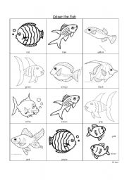 Colour the fish