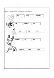 English worksheet: animals