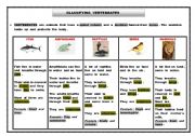 English Worksheet: Classifying animals - vertebrates