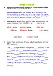 English worksheet: Nouns and adjectives