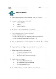 English Worksheet: Rainforest