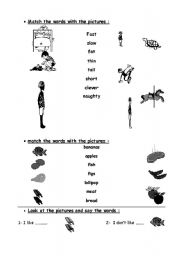 English worksheet: match exercise 