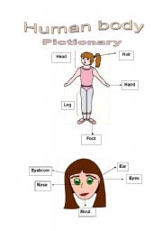 English Worksheet: Human body - Pictionary