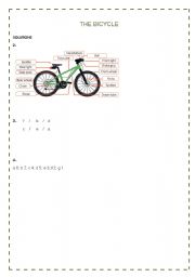 English Worksheet: The bicycle solutions