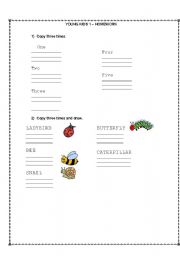 English worksheet: numbers and insects