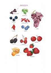 English worksheet: Berries