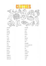 English Worksheet: Clothes vocabulary