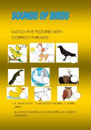 English Worksheet:  SOUNDS OF BIRDS