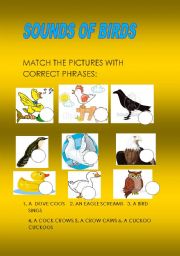 English worksheet:  SOUNDS OF BIRDS