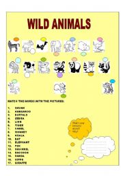 English worksheet: animal worksheet