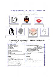English Worksheet: Song Your Body is a wonderland (Parts of the body)
