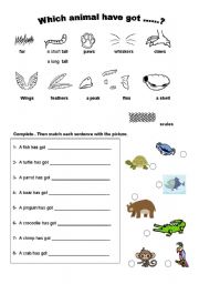 English Worksheet: Animal body parts