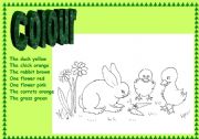 English Worksheet: colour farm animals