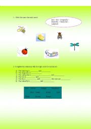 English worksheet: Insects