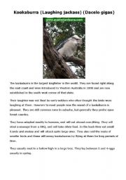 English Worksheet: Australian Animals Poster Reading