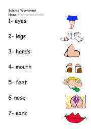 English Worksheet: Body parts