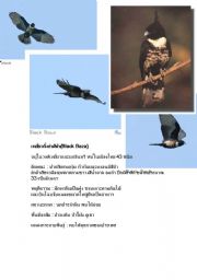 English Worksheet: Noun