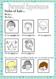 English Worksheet: PERSONAL APPEREANCE/ HAIR STYLES